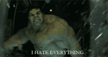 Hulk Hate Everything! GIF