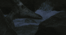 a dinosaur with a long neck is standing in the dark near a rock