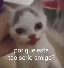 Quepro Que Pro Meme GIF - QUEPRO Que Pro Meme Que Pro Pou - Discover &  Share GIFs