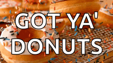 Dunkin Donuts Donuts GIF