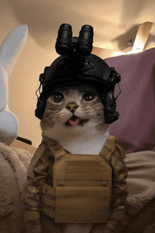 a cat is wearing a helmet and a vest