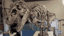 Tiranossauro Dinosaur GIF