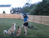 Dog Mom Streamer GIF - Dog Mom Streamer Funny GIFs
