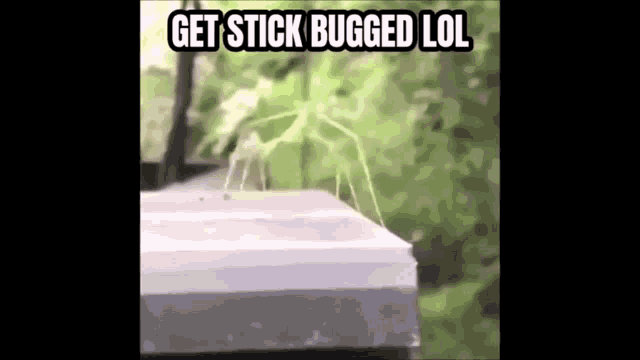 Meme Stick GIF - Find & Share on GIPHY