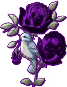 Purple Roses GIF - Purple Roses Bird GIFs