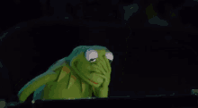 frustrated kermit