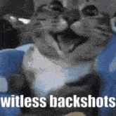 a cat is sitting on a blue chair with the words witless backshots written on it .