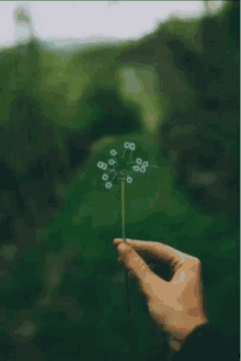 a person is blowing a dandelion with a circuit board icon behind it