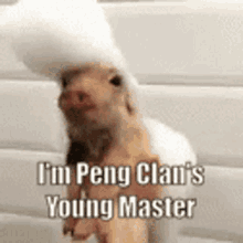 peng peng clan young peng master peng