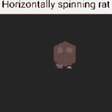 Rat Rat Shall Spin GIF - Rat Rat Shall Spin GIFs