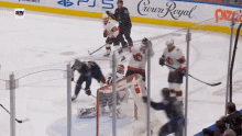 Toronto Maple Leafs Joey Anderson GIF