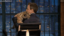 Tiger GIF - Seth Meyers Late Night Seth Late Night With Seth Meyers GIFs