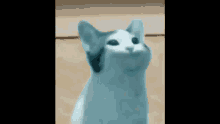 Pop Cat GIF - Pop Cat Glaceon GIFs
