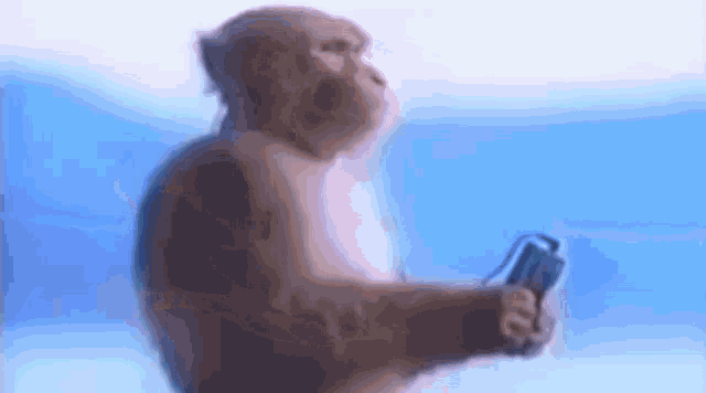 Música Pancada Monkey-music-monkey