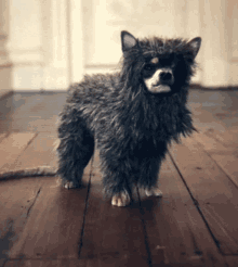 Wink The Dog GIF - Wink The Dog GIFs