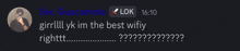 a screenshot of a conversation between ser guacamole and lok at 17:10