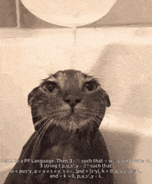 a black and white photo of a cat with the words let i be a pf language on the bottom