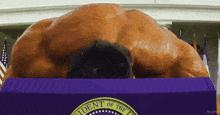 a large muscular man is laying on top of a purple box which says president of the united states