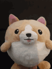 Nugget The Dog Stuffed Toy GIF - Nugget The Dog Stuffed Toy Cute GIFs