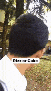 Rizz Rizz Or Cake GIF - Rizz Rizz Or Cake Kidnap GIFs