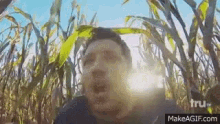 Horrified In A Corn Maze GIF - Horrified Corn Maze Corn GIFs