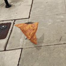Flying Pizza Flying Slice Of Pizza GIF - Flying Pizza Flying Slice Of Pizza Pizza GIFs
