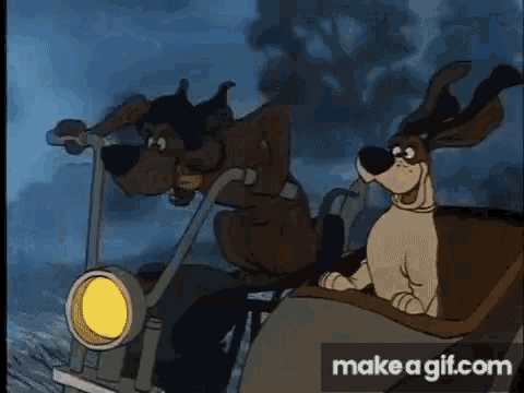 Dogs 2024 in aristocats