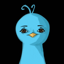 a blue bird with brown eyes and a yellow beak on a black background