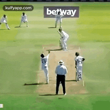 Castled Stump Gone For A Cart Wheel.Gif GIF - Castled Stump Gone For A Cart Wheel Bumrah Jansen GIFs