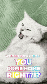 a cat laying down with the words " women every time you come home right "