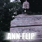 a stuffed animal is sitting on a piece of wood with the words ann flip written below it