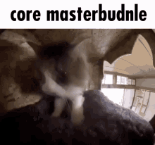 Coremasterbundle GIF - Coremasterbundle GIFs