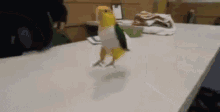 Parrot Excited GIF - Parrot Excited Jumping GIFs