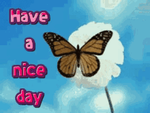 Have A Nice Day Butterfly GIF - Have A Nice Day Butterfly GIFs