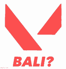 Bali Rafi GIF