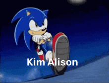 Sonic Alison GIF - Sonic Alison Kim Alison GIFs
