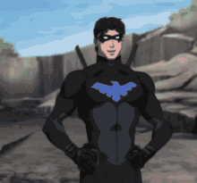 Nightwing Young Justice GIF - Nightwing Young Justice Dick Grayson GIFs