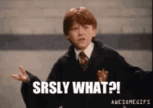 Ron Weasley Harry Potter GIF - Ron Weasley Harry Potter Srsly What GIFs