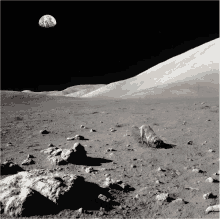 Moon Dog On Moon GIF
