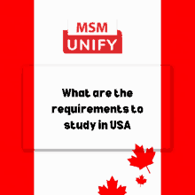 What Are The Requirements To Study In Usa GIF - What Are The Requirements To Study In Usa GIFs