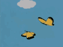 Tama And Friends Butterflies GIF - Tama And Friends Butterflies Chasing GIFs