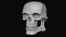 Spin Skull Bad To Bone GIF - Spin Skull Bad To Bone Made By Tony Maranto GIFs