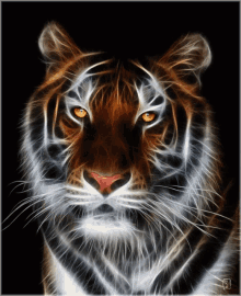 Tiger Cats GIF - Tiger Cats Glowing GIFs