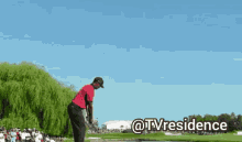 Tvresidence Golf GIF - Tvresidence Golf Tiger GIFs