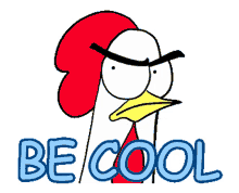 cool chickenbro be cool attitude