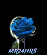 Mr24hrs Blue Rose GIF - Mr24hrs Blue Rose Blue Roses GIFs