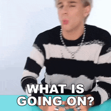 What Is Going On Brad Mondo GIF - What Is Going On Brad Mondo What Is Happening GIFs