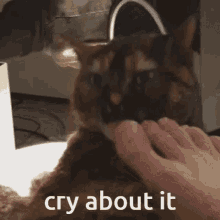 Cope Cry About It GIF - Cope Cry About It Cry About It Cat GIFs