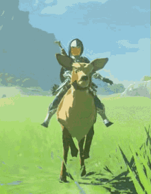 The Legend Of Zelda Breath Of The Wild GIF
