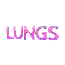 lungs lungs